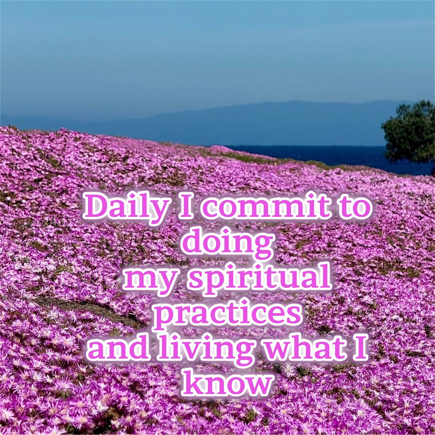 Community of Infinite Spirit Facebook ad