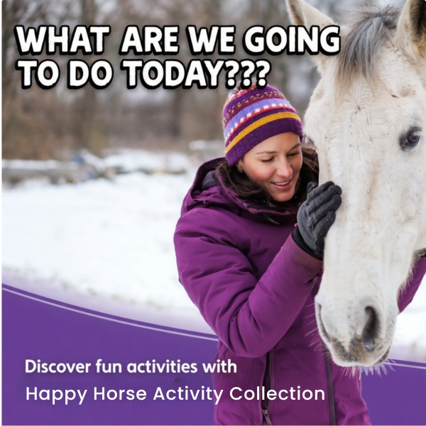 Horse Tricks 101 Facebook ad