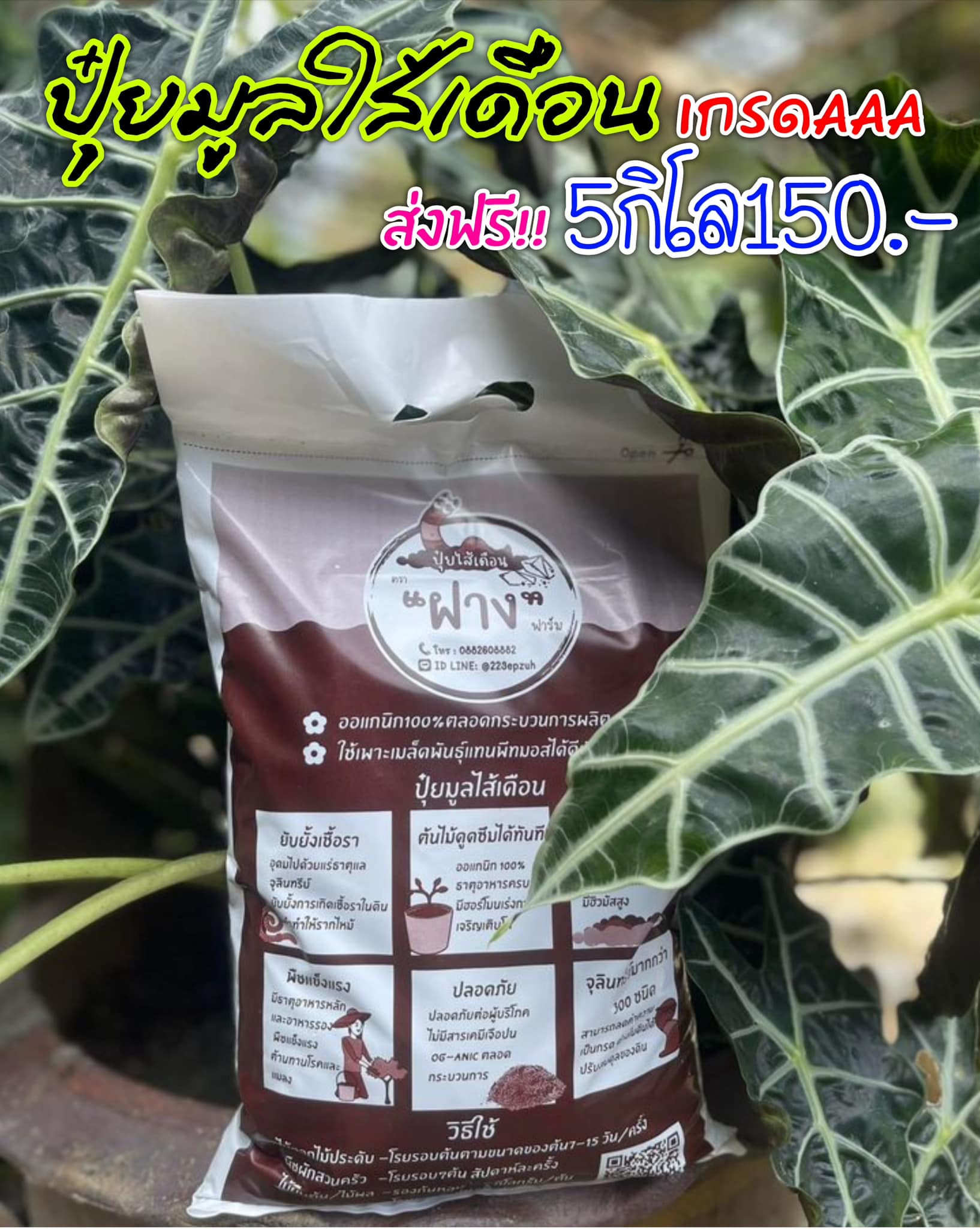 ปุ๋ยมูลใส้เดือน ฝางฟาร์ม Facebook ad: ท่านจะซื้อปุ๋ยมูลใส้เดือน ใส่ต้นไม้