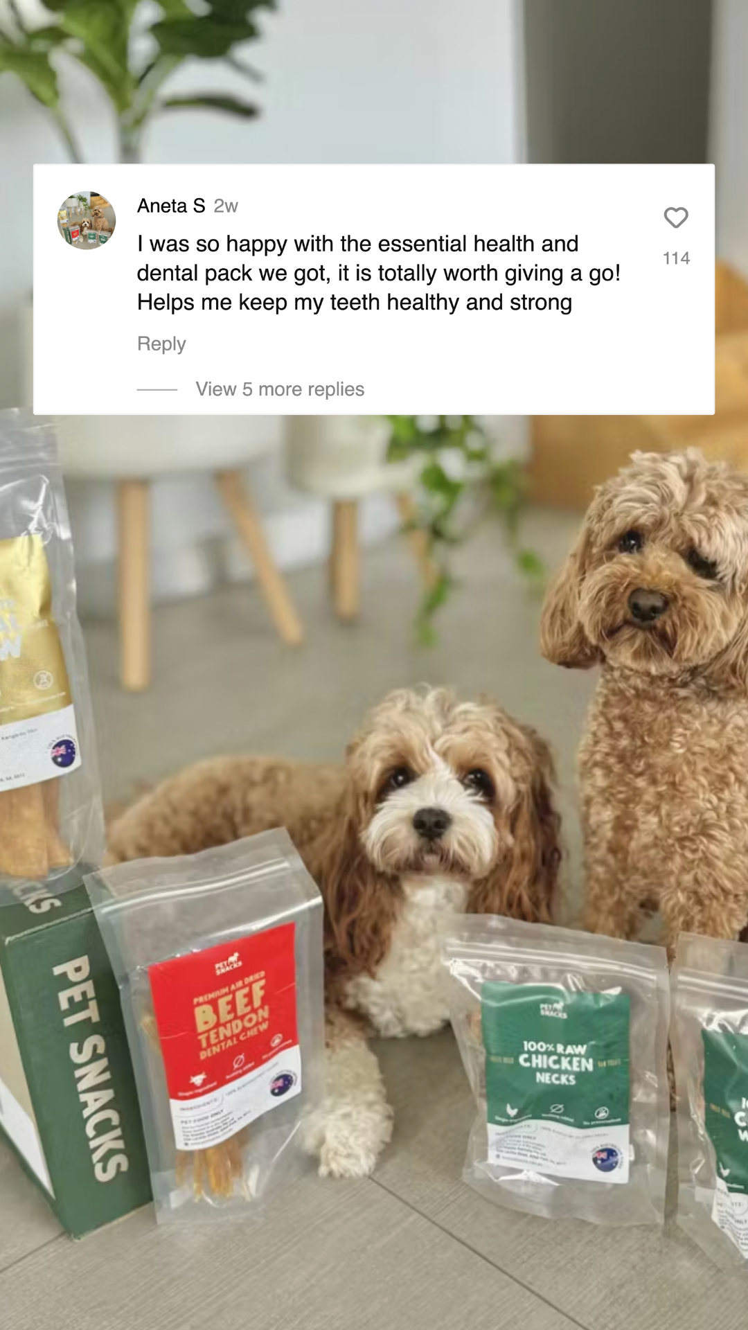 Pet Snacks Facebook ad