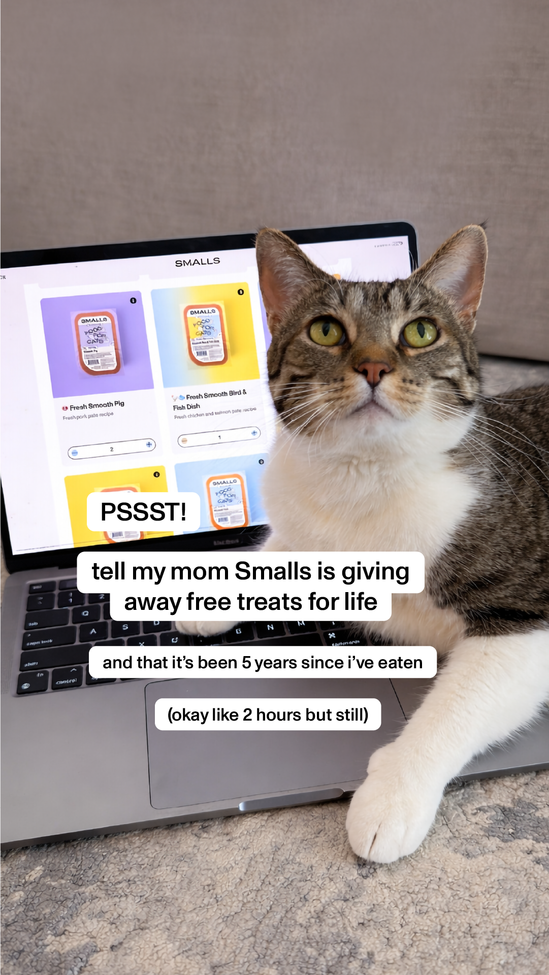 Smalls Facebook ad