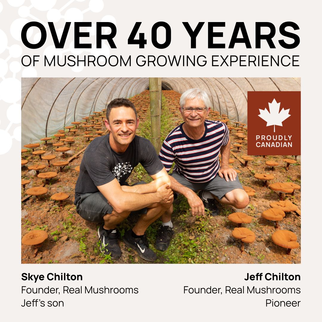 Real Mushrooms Facebook ad
