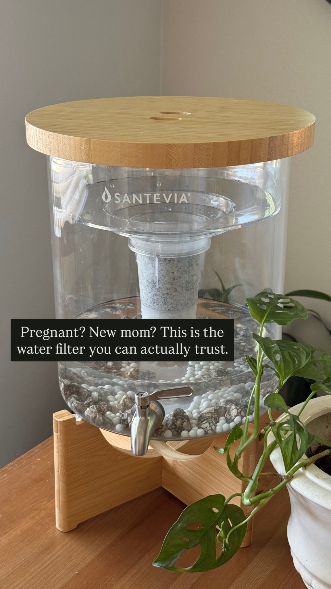 Santevia Water Systems Facebook ad