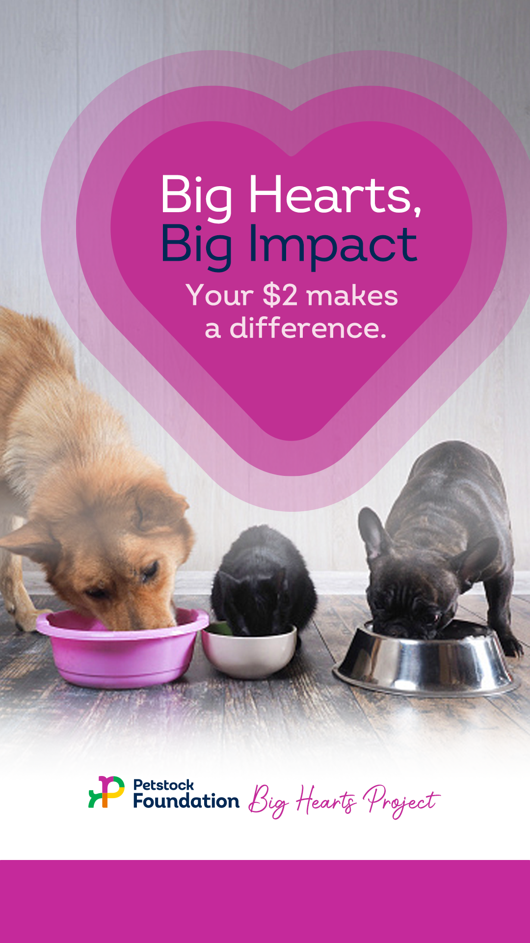 Petstock Facebook ad