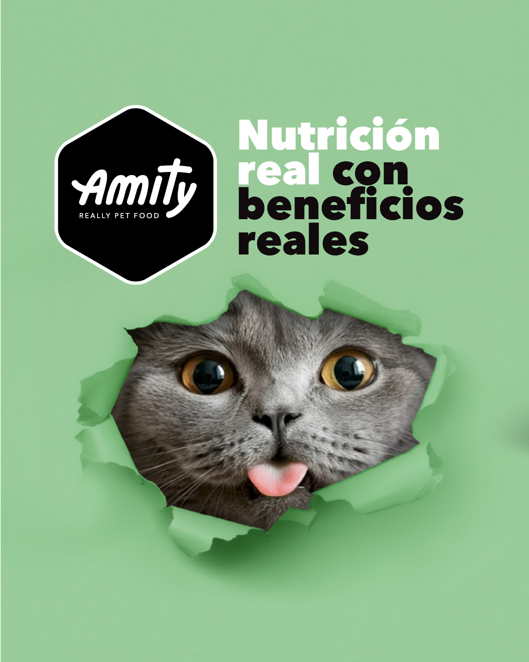 Amity Pet Food CR Facebook ad from Mar 9, 2026