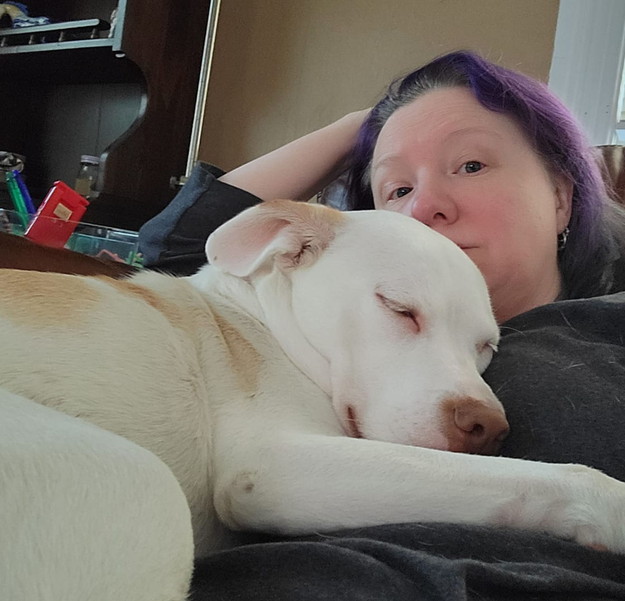 Shelter Pet Support Foundation Facebook ad
