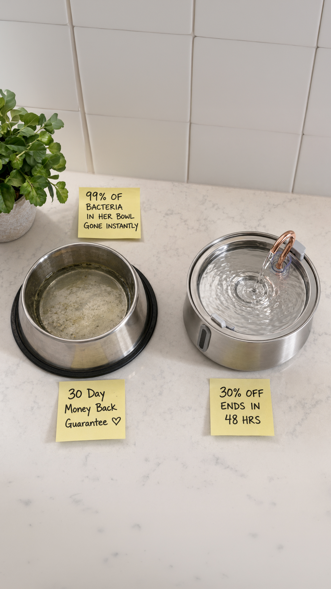 Rhykin Pet Co Facebook ad