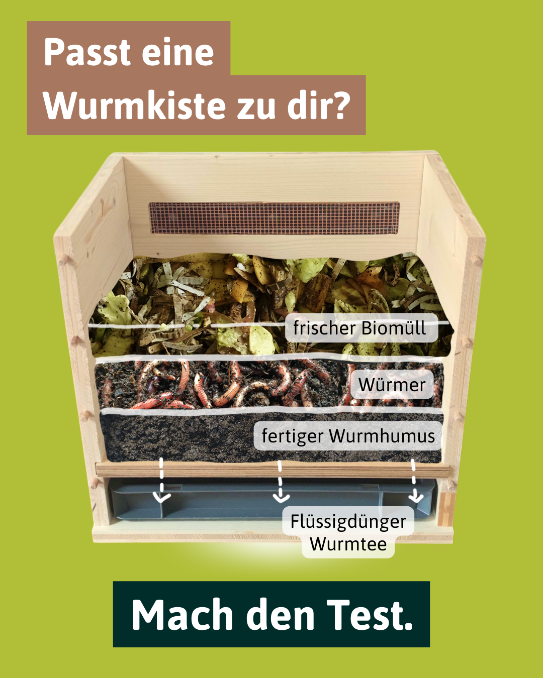 wurmkiste.at Facebook ad