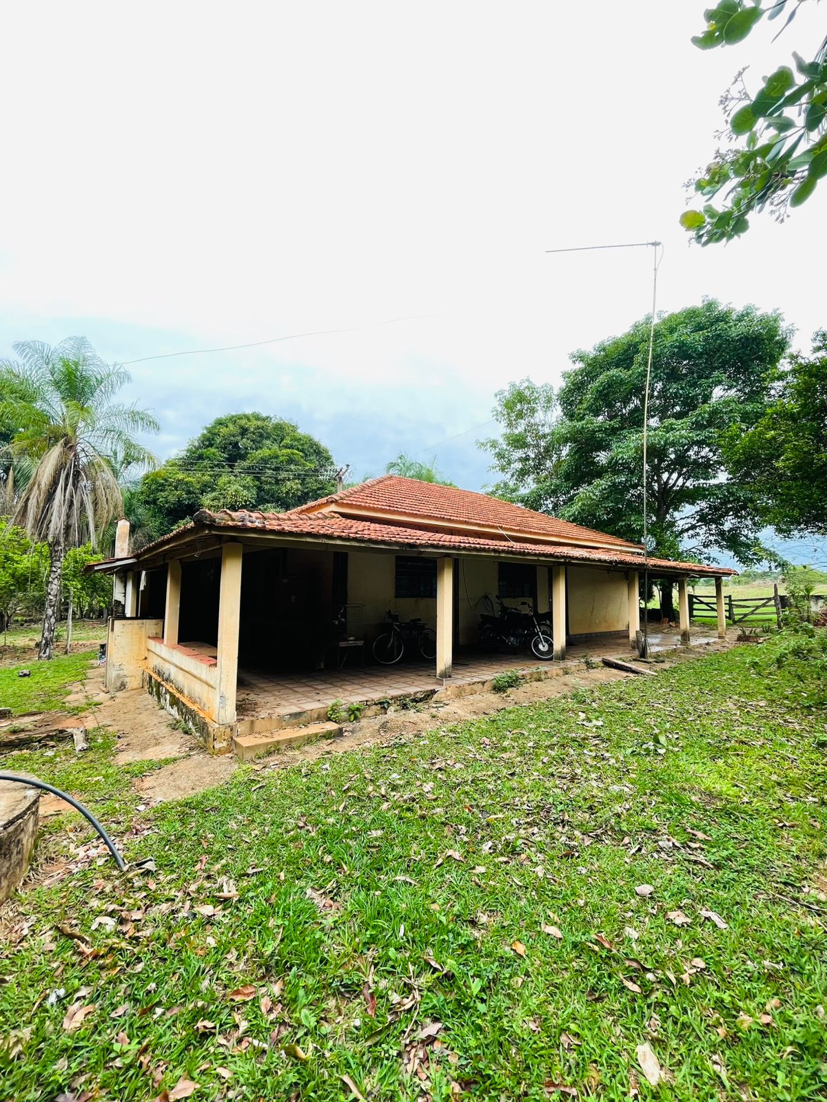 Trêslar Corretores de Imóveis Facebook ad: Fazenda em Três Lagoas, Potencial logístico e produtivo