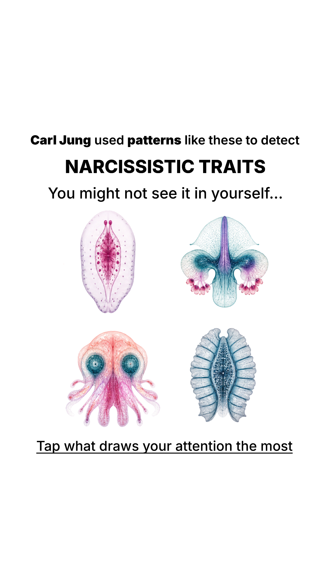 Personality Type Facebook ad