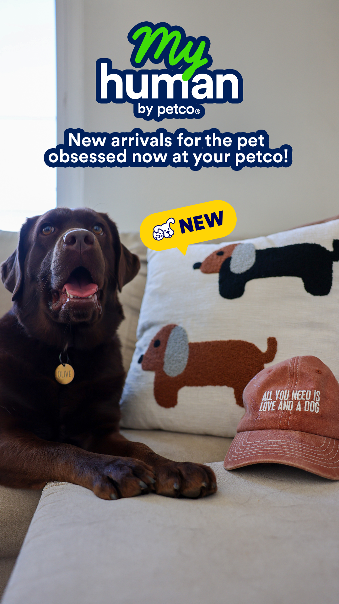 Petco Facebook ad