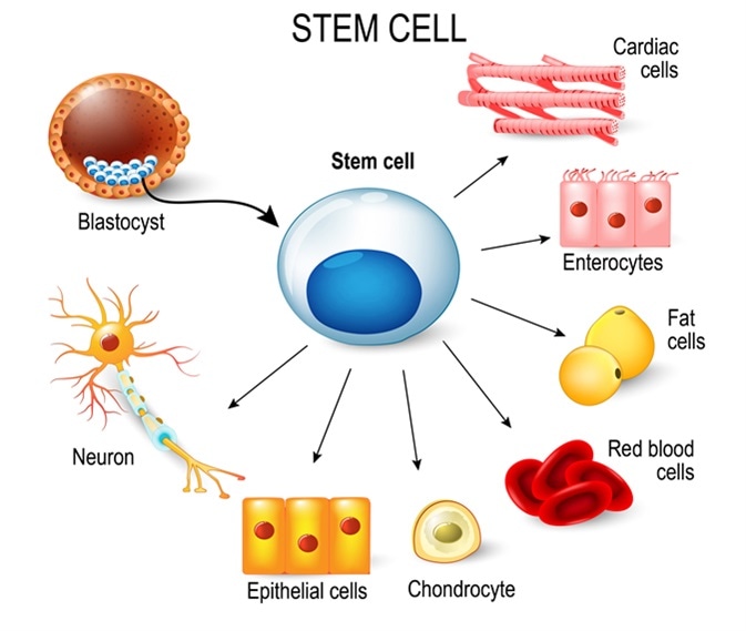 Wu Stem Cells Medical Center Facebook ad