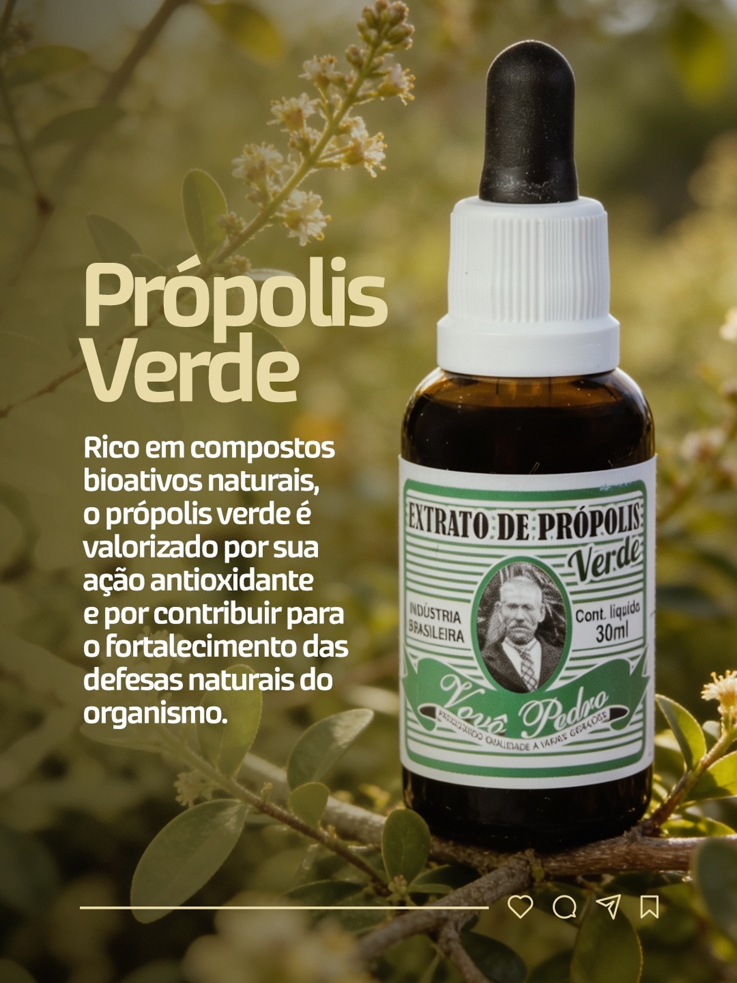 Apiários VOVÔ PEDRO Facebook ad: Extrato de Própolis Verde Vovô Pedro, 30ML