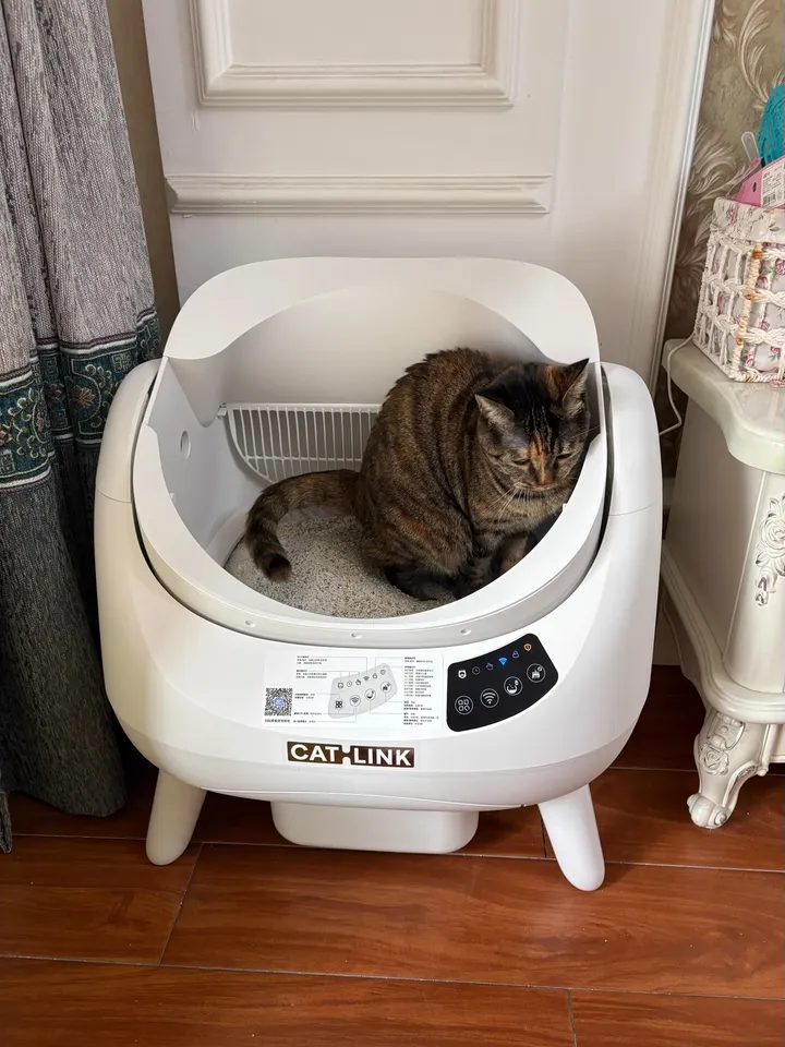Catlink EU Facebook ad