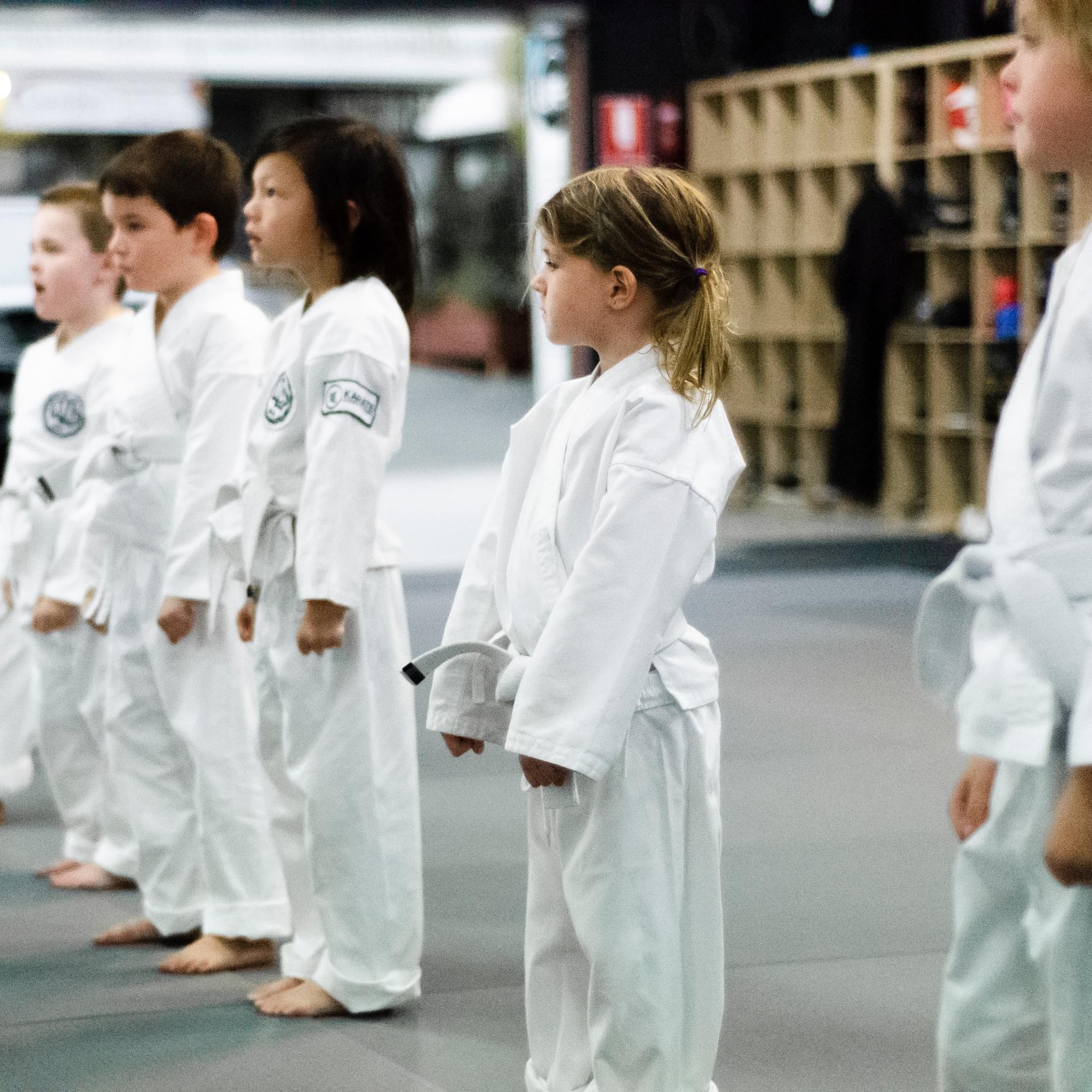 Karate Academy of Power - Hayashiha Queensland Facebook ad