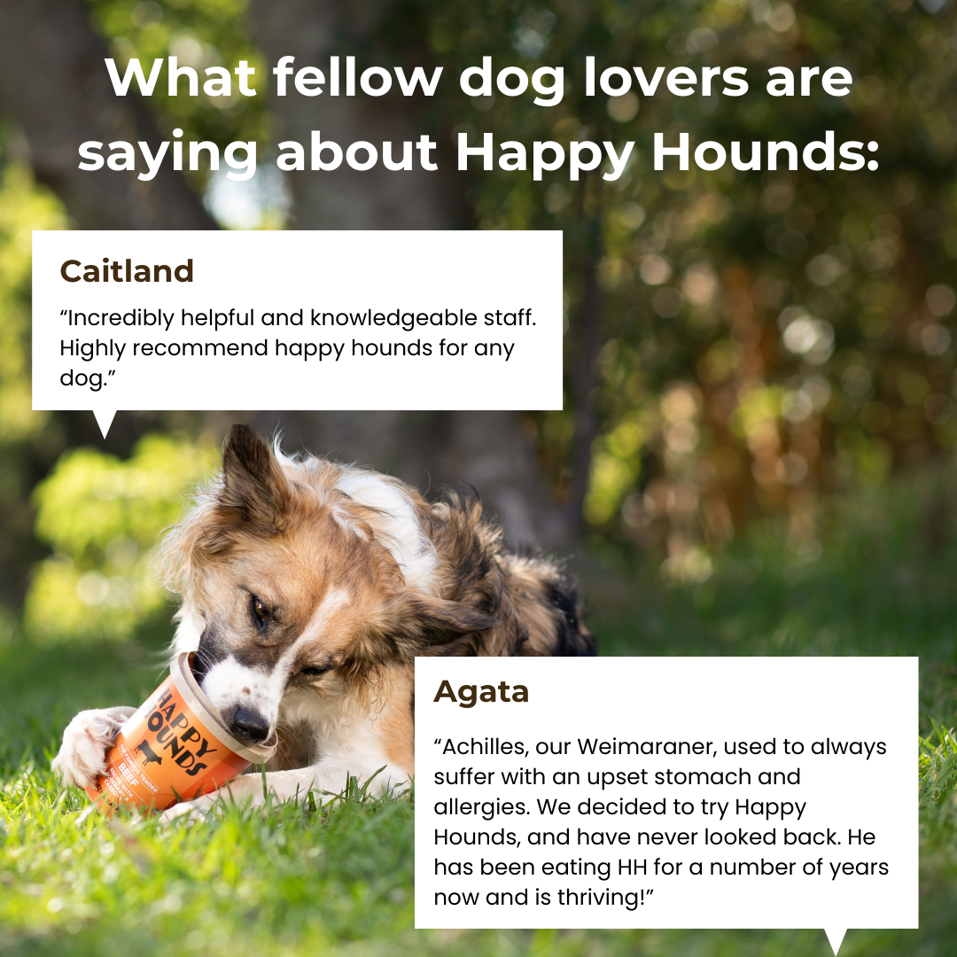 Happy Hounds ZA Facebook ad: Stop guessing what's in your dog's bowl.
