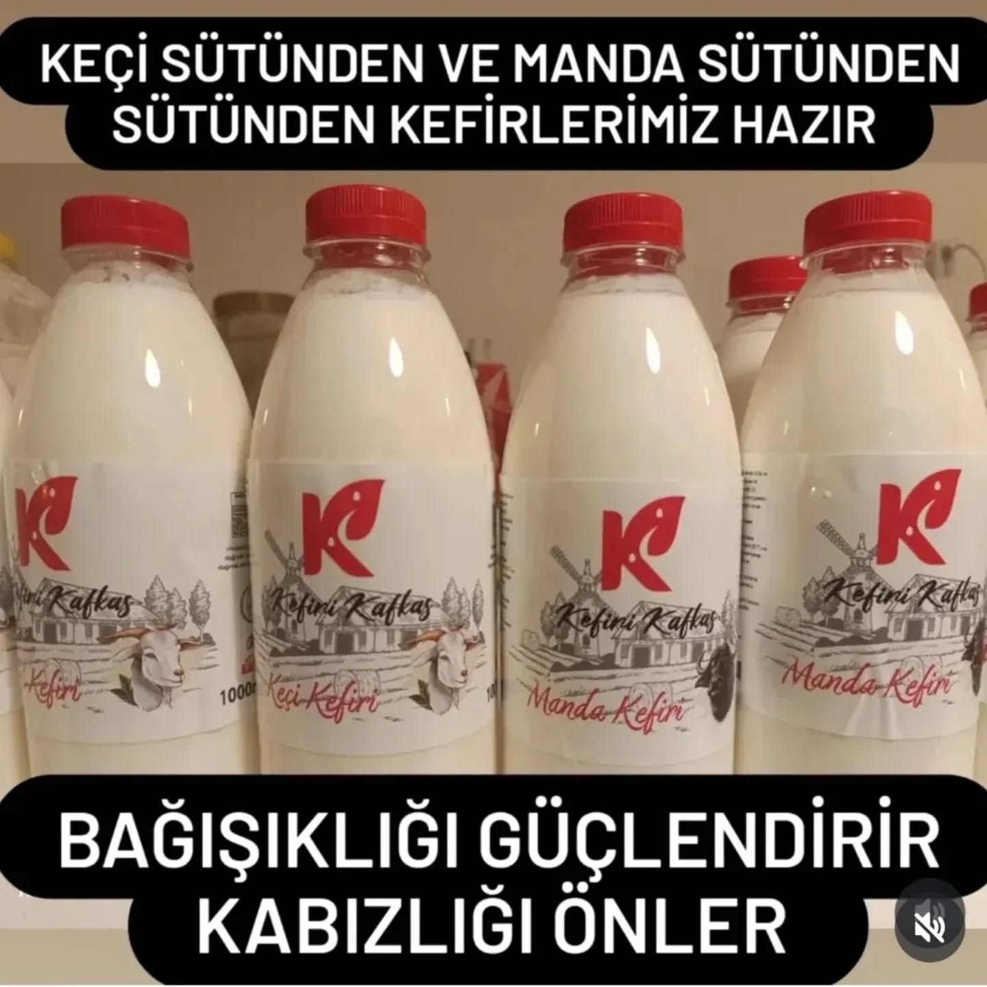 Kafkaskefiri Facebook ad: KEÇİ SÜTÜNDEN