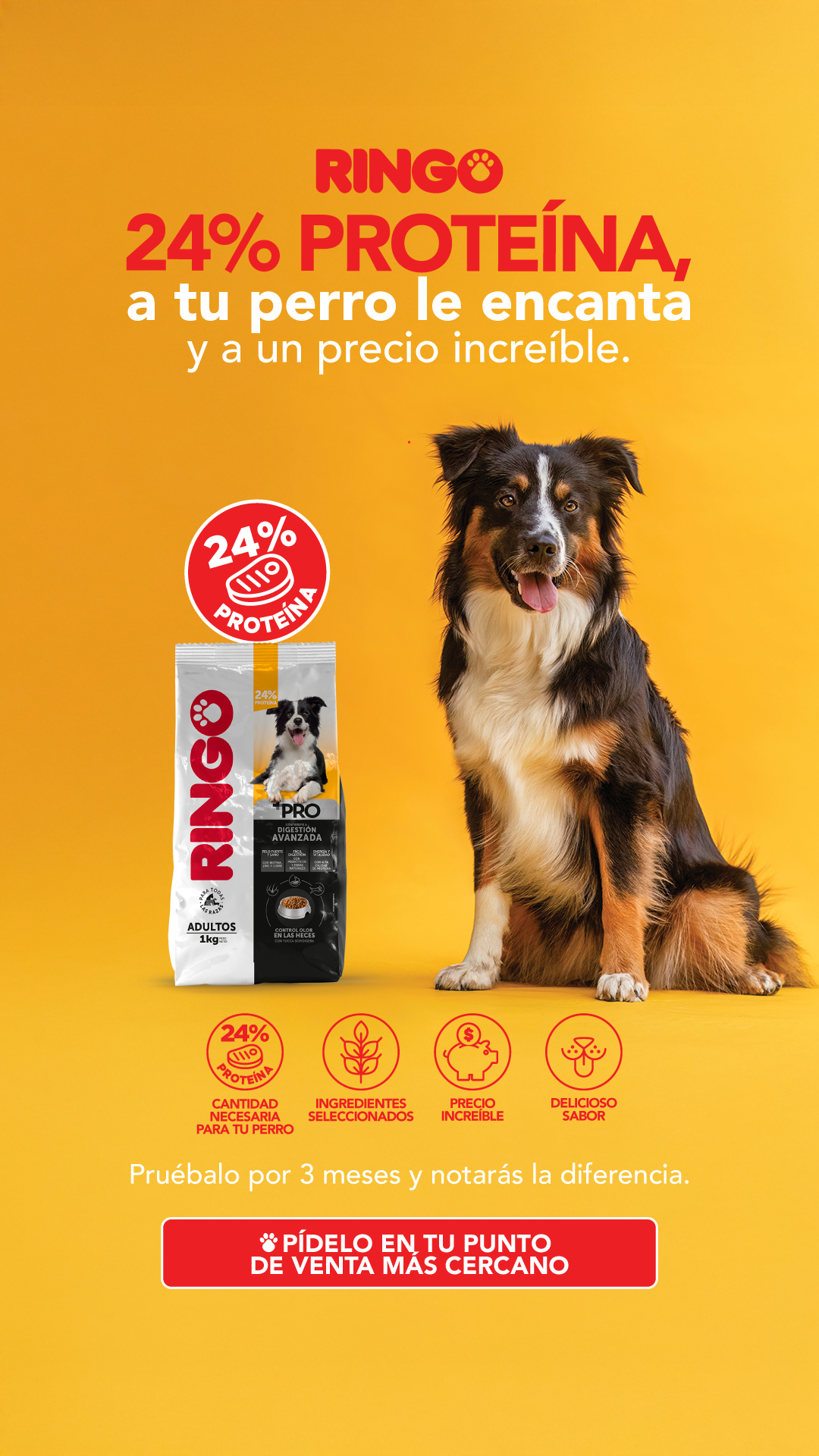 EfectoRingo Facebook ad