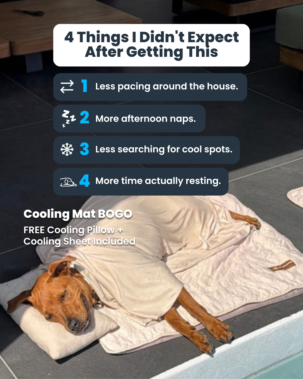 Pelsbarn Facebook ad