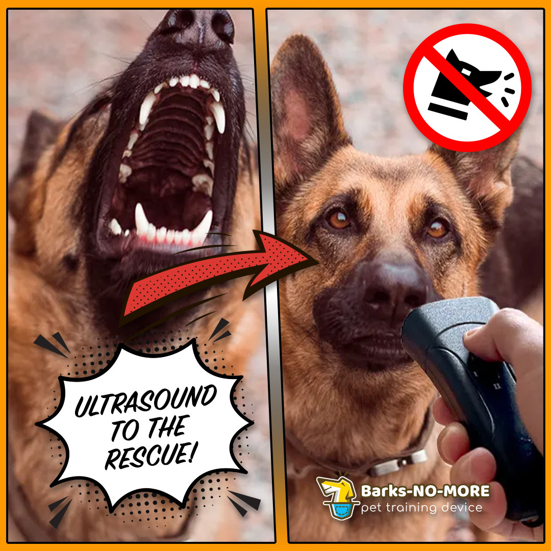 Dog Training Pro Facebook ad