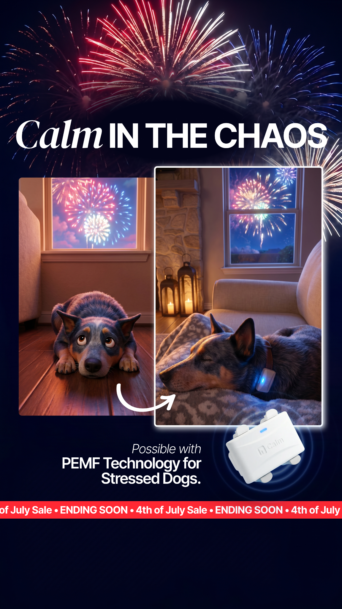 Helio Pet Facebook ad