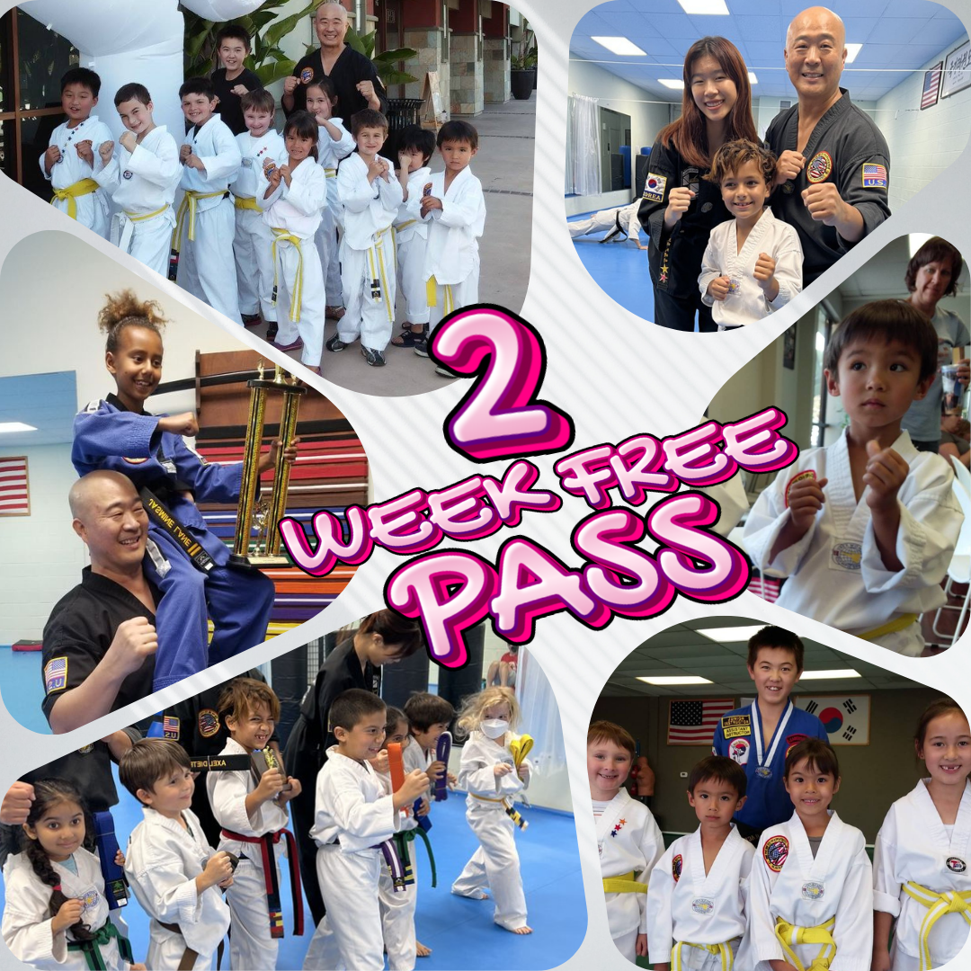 Black Belt Academy Martial Arts School Facebook ad: 2 Weeks Of Free Martial Arts Classes!