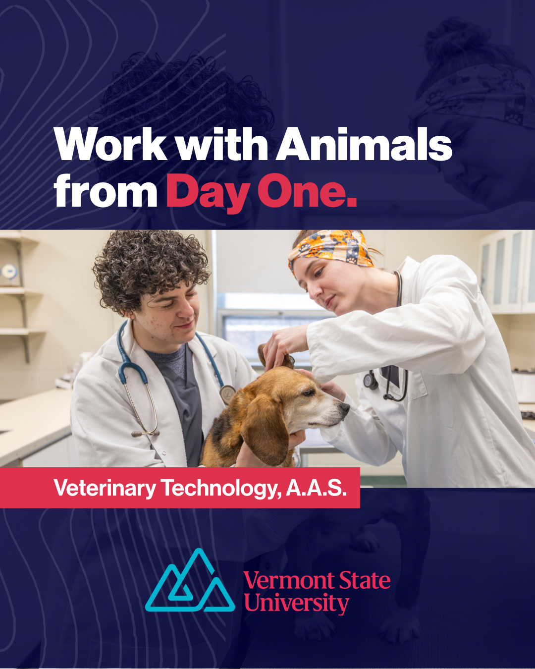 Vermont State University Facebook ad: Explore Veterinary Technology