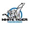 White Tiger Taekwondo Allen