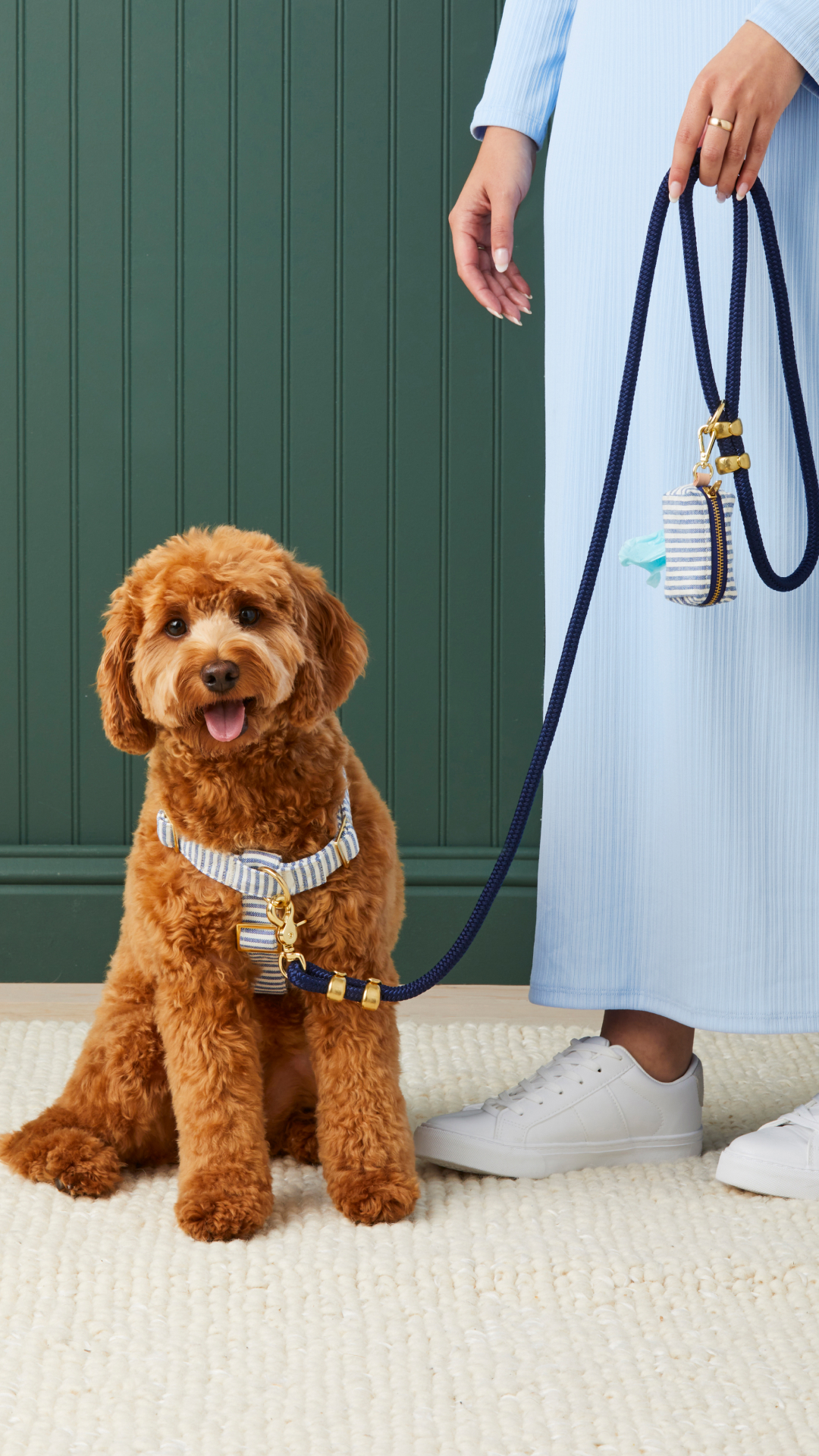 The Foggy Dog Facebook ad