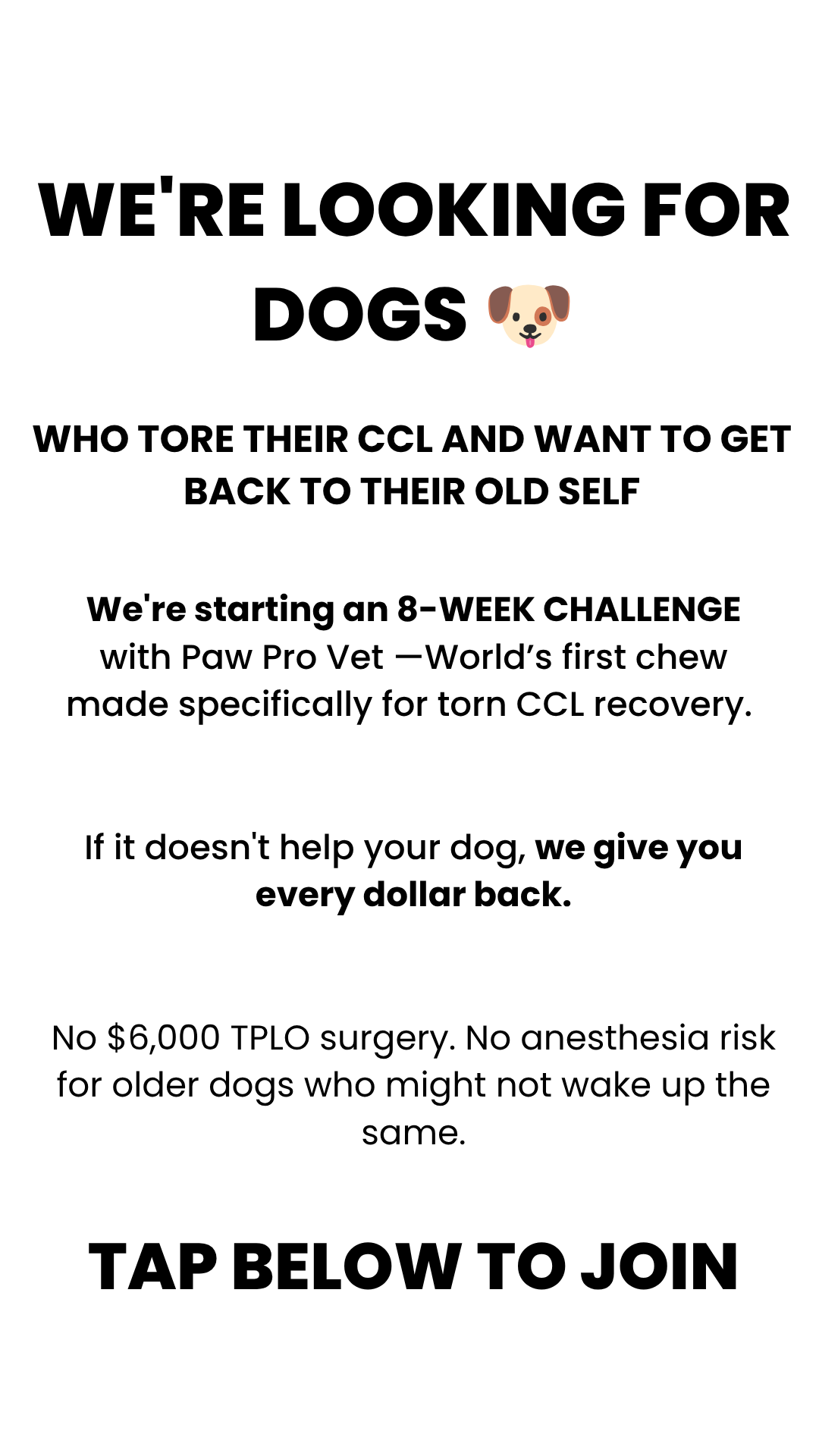 Paw Pro Vet Pets Facebook ad: Give Him 8 Weeks Before You Book Surgery