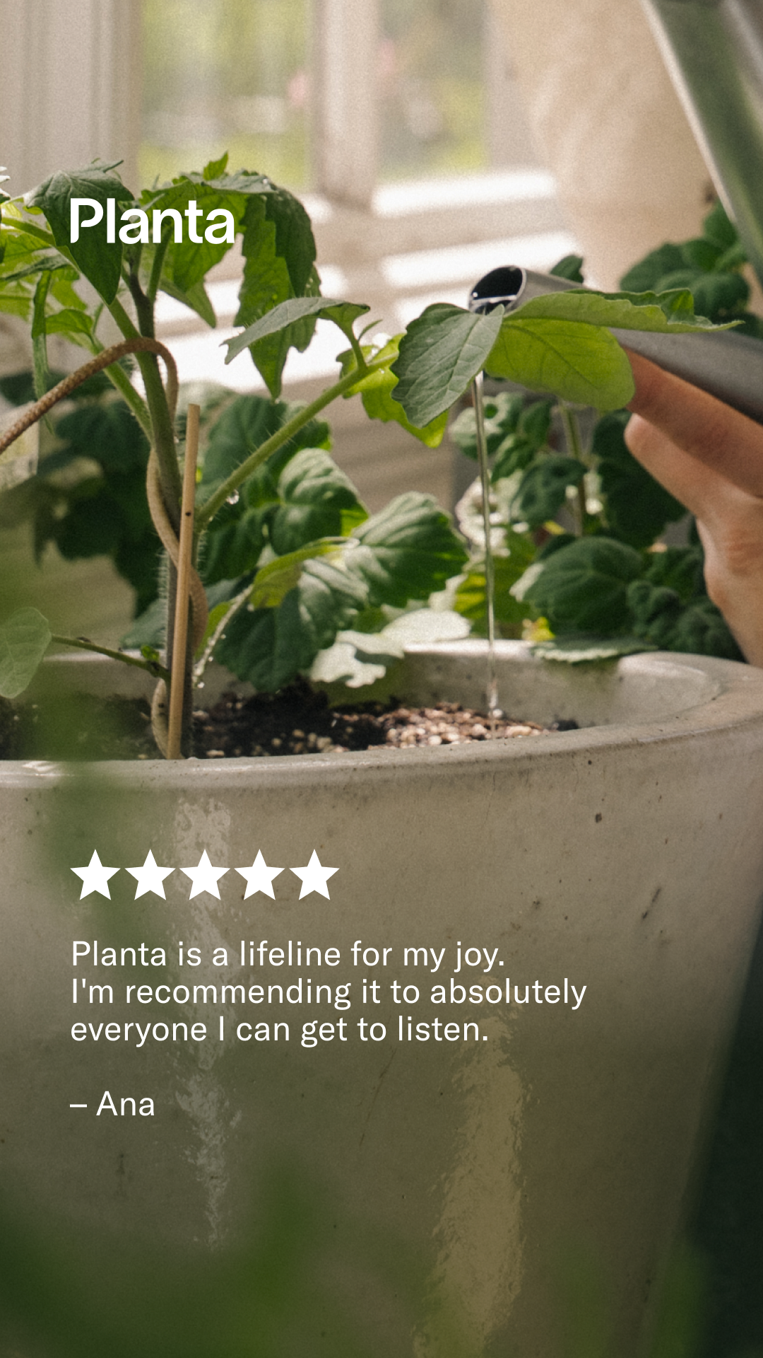 Planta Facebook ad