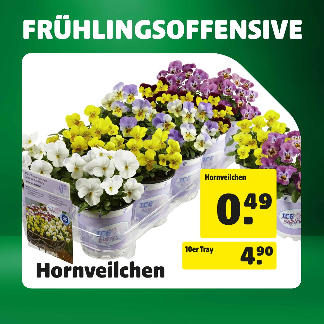 hagebaumarkt Lübeck Facebook ad: Frühlingsoffensive bei hagebau!