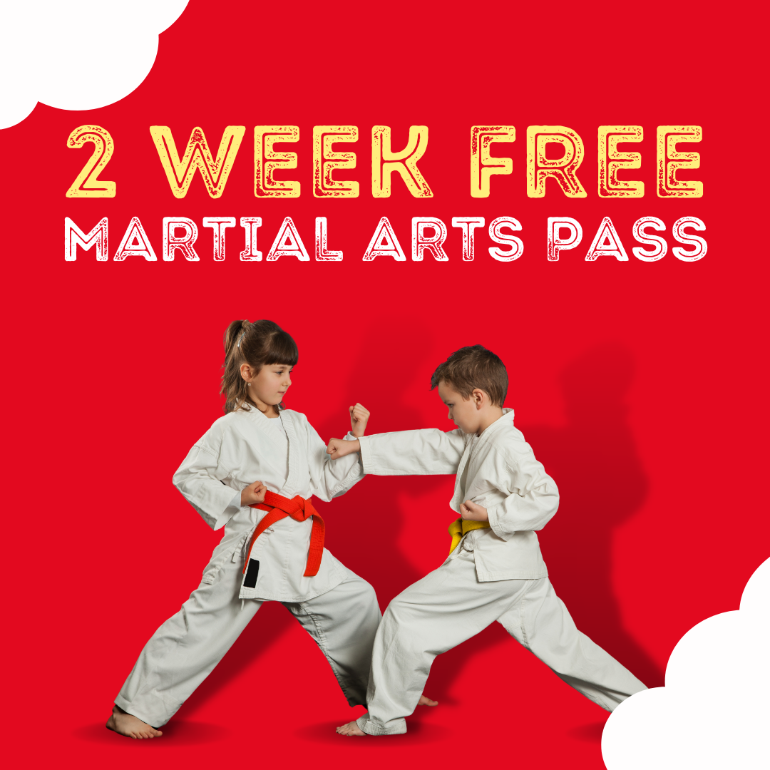 Blazier Martial Arts Facebook ad: 2 Weeks of Free Martial Arts Classes!