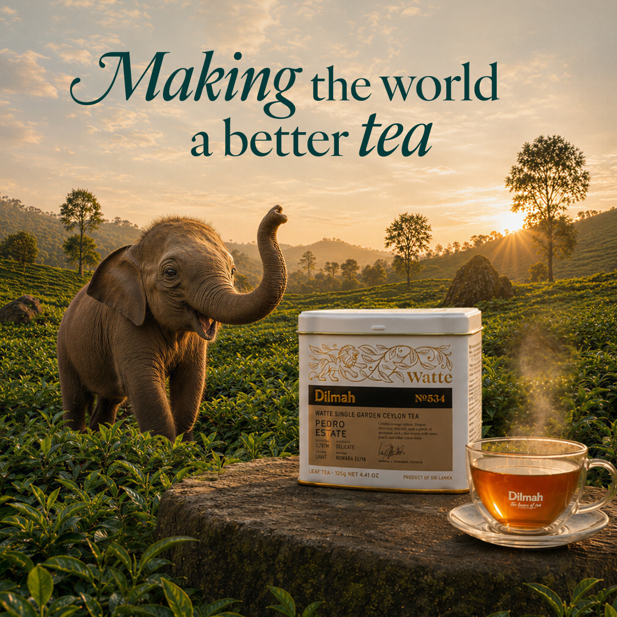 Dilmah Tea Facebook ad from Aug 10, 2026