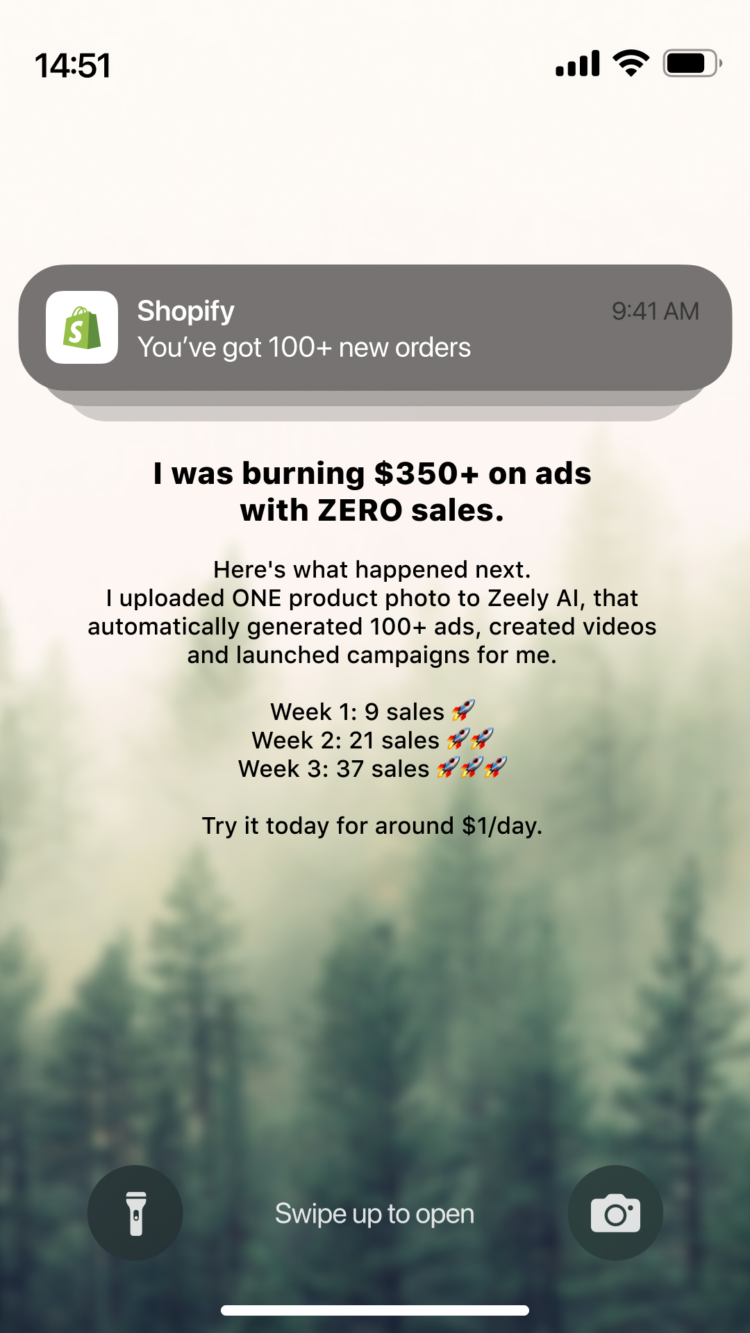 Zeely Facebook ad