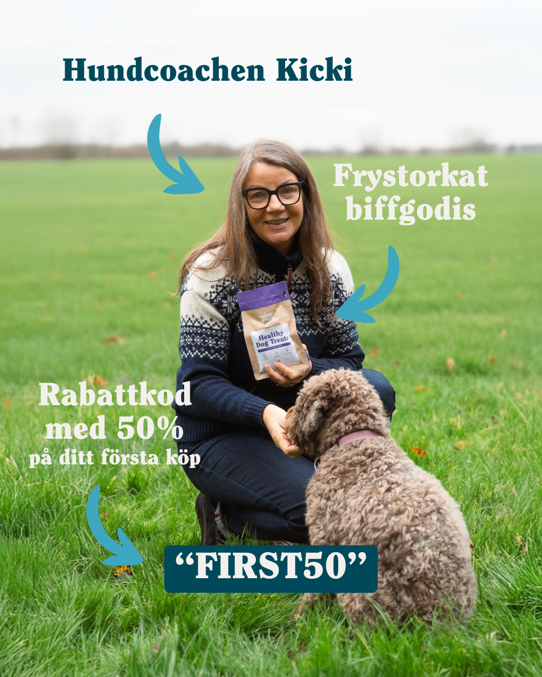 Hundcoachen Kicki Fellstenius Facebook ad from Jan 22, 2026