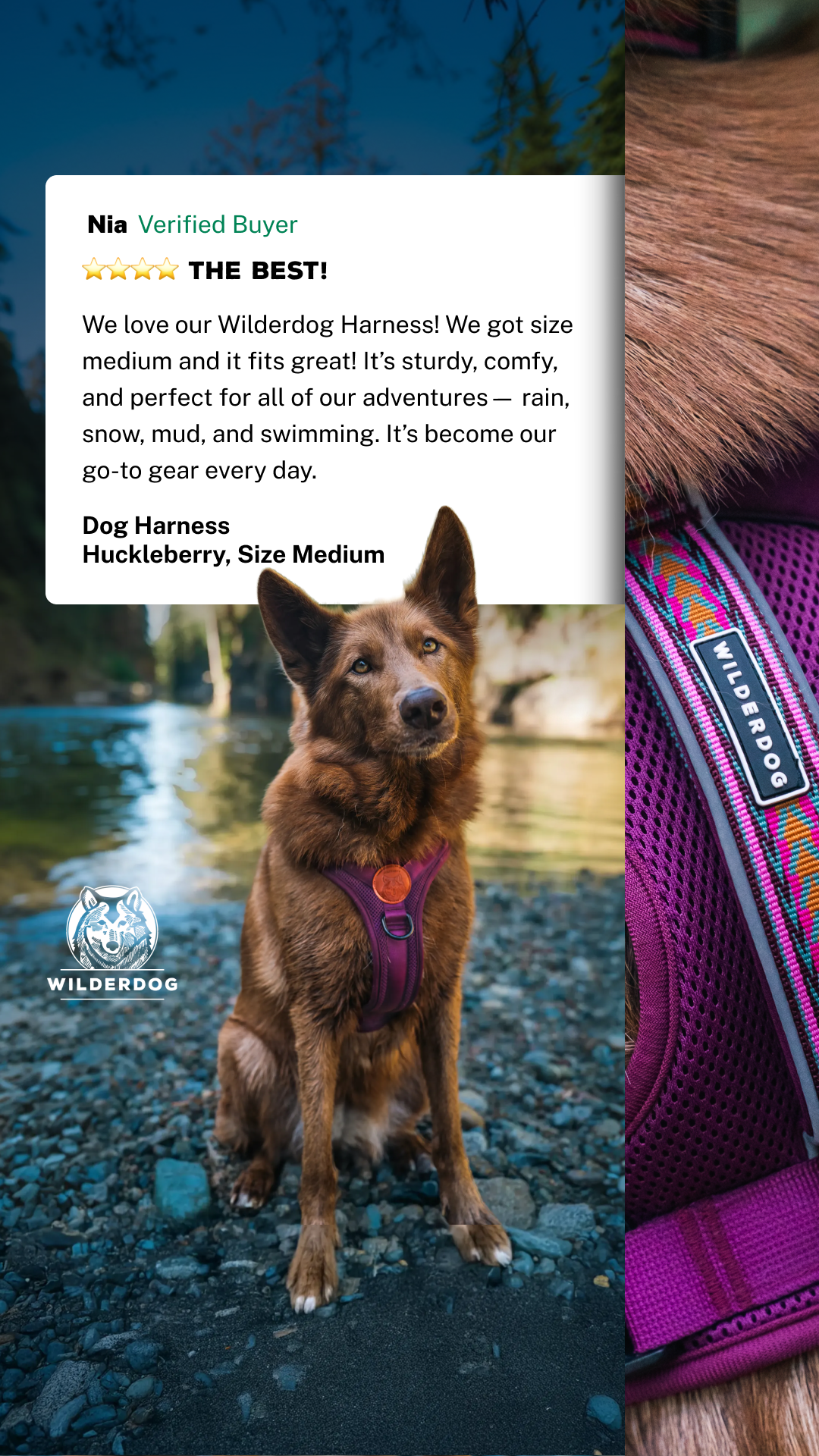 Wilderdog Facebook ad