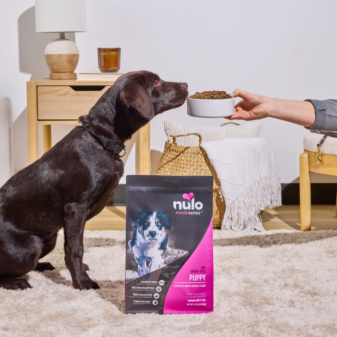 Petco Facebook ad