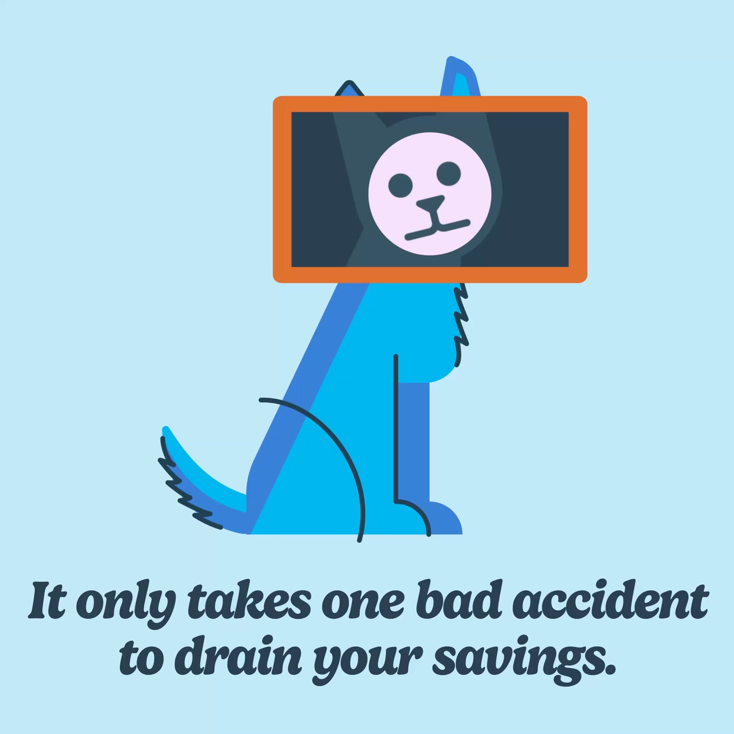 ASPCA Pet Health Insurance Facebook ad