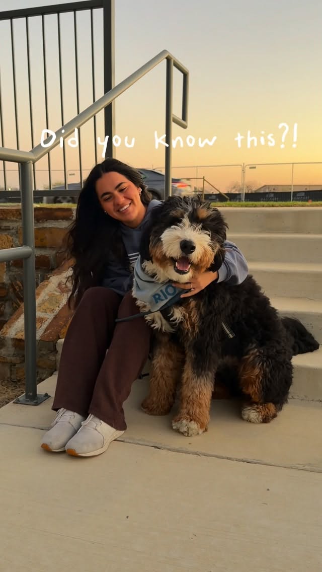 Support Pets Facebook ad: One of the best things I did for…