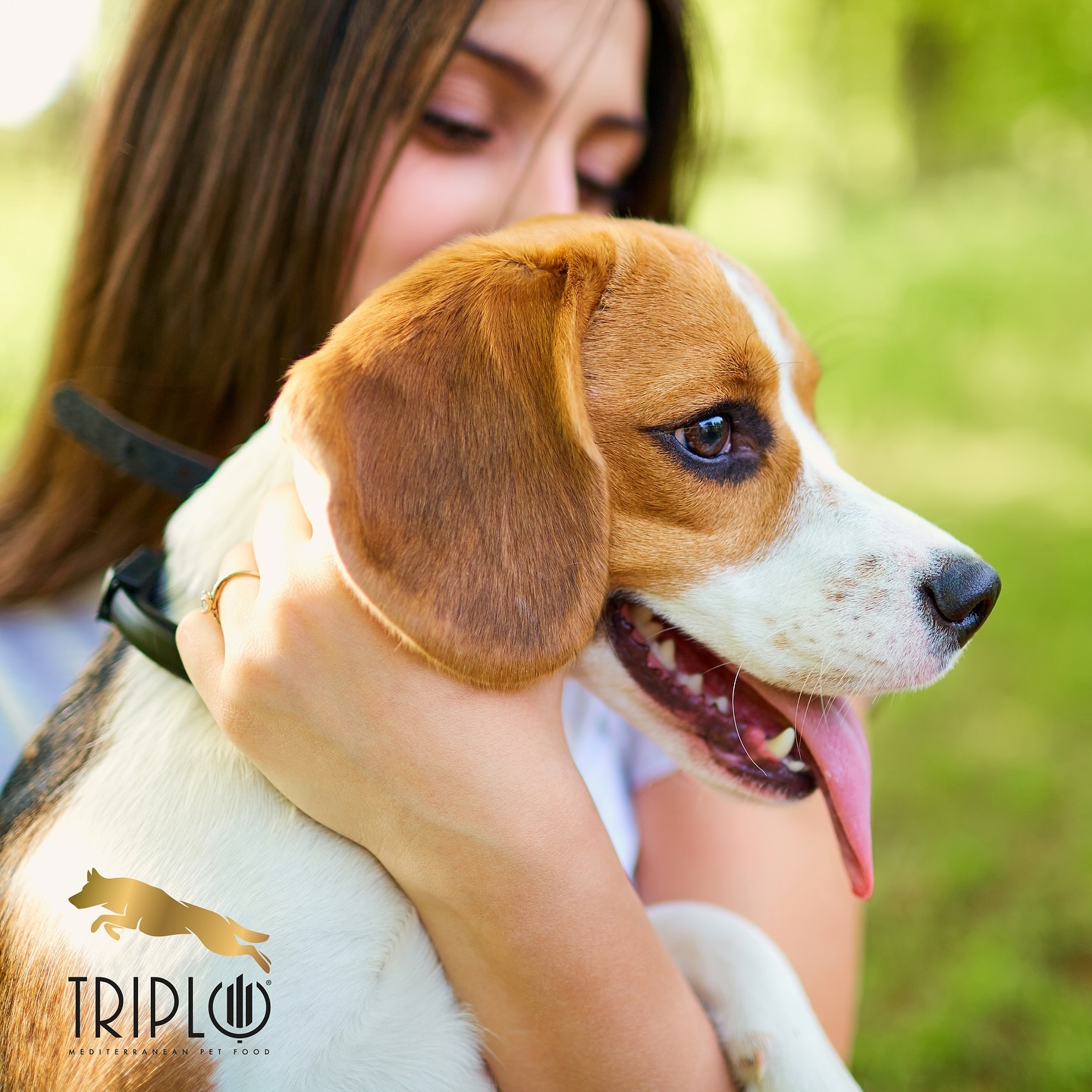 Triplo Pet Food Facebook ad