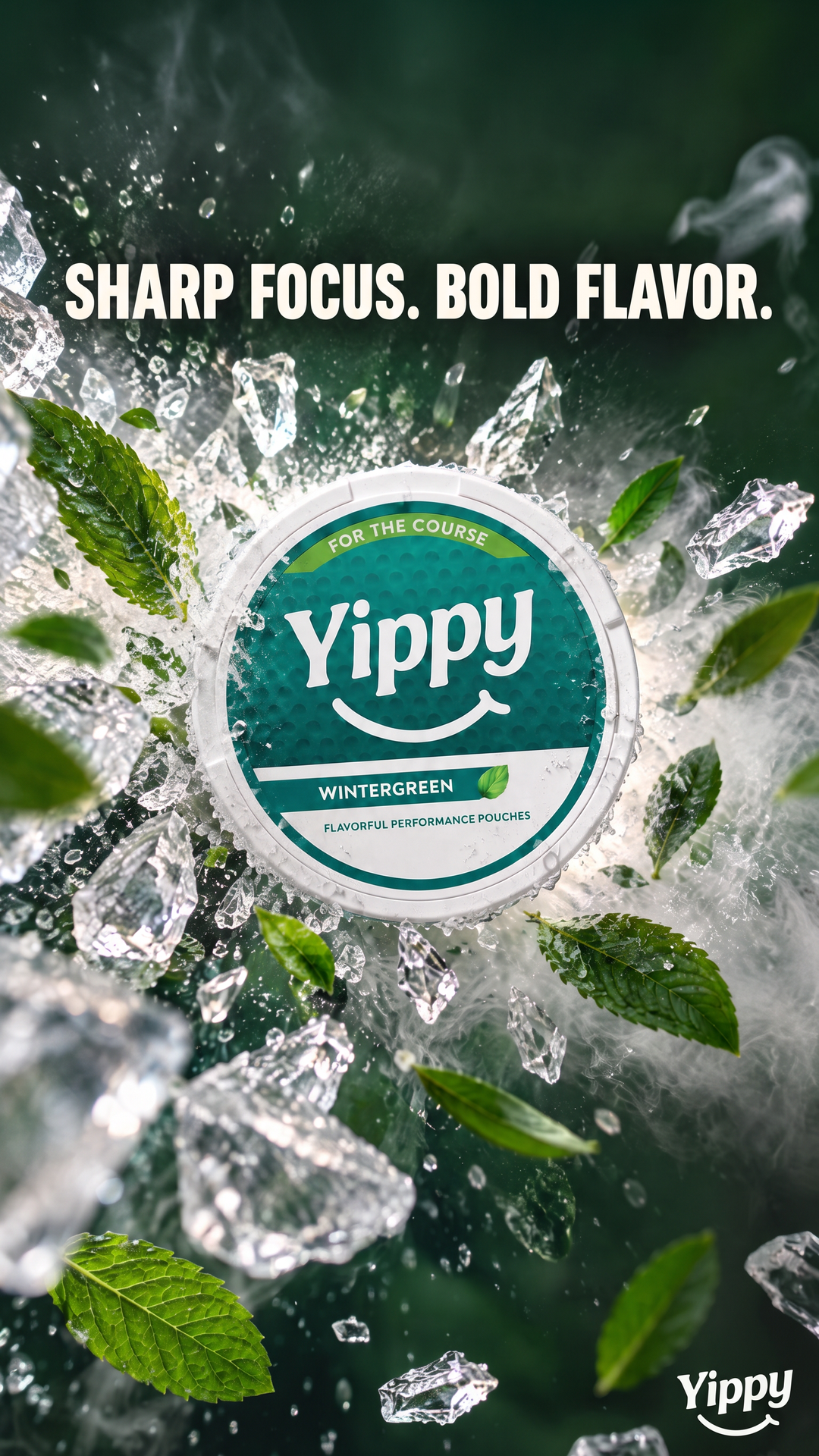 Yippy Facebook ad: Sharp Focus. Bold Flavor.