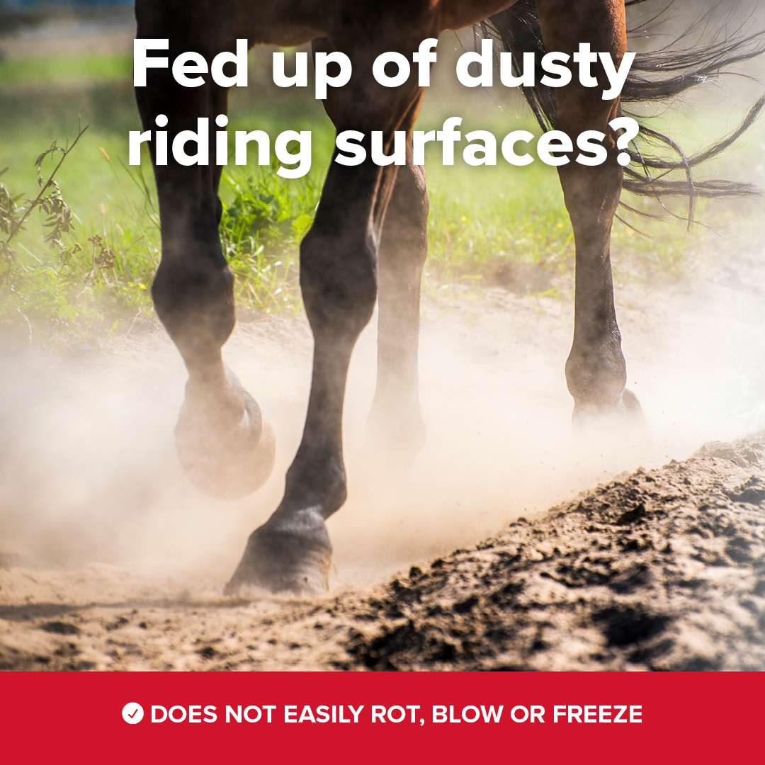 Equestrian Direct Surfaces Facebook ad from May 28, 2026