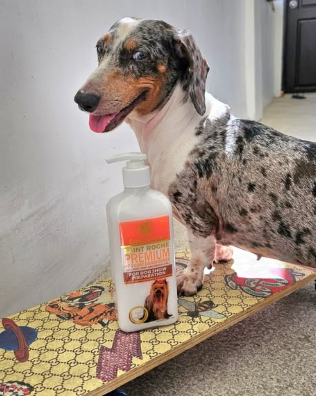 Saint Roche Premium Dog Shampoo Facebook ad