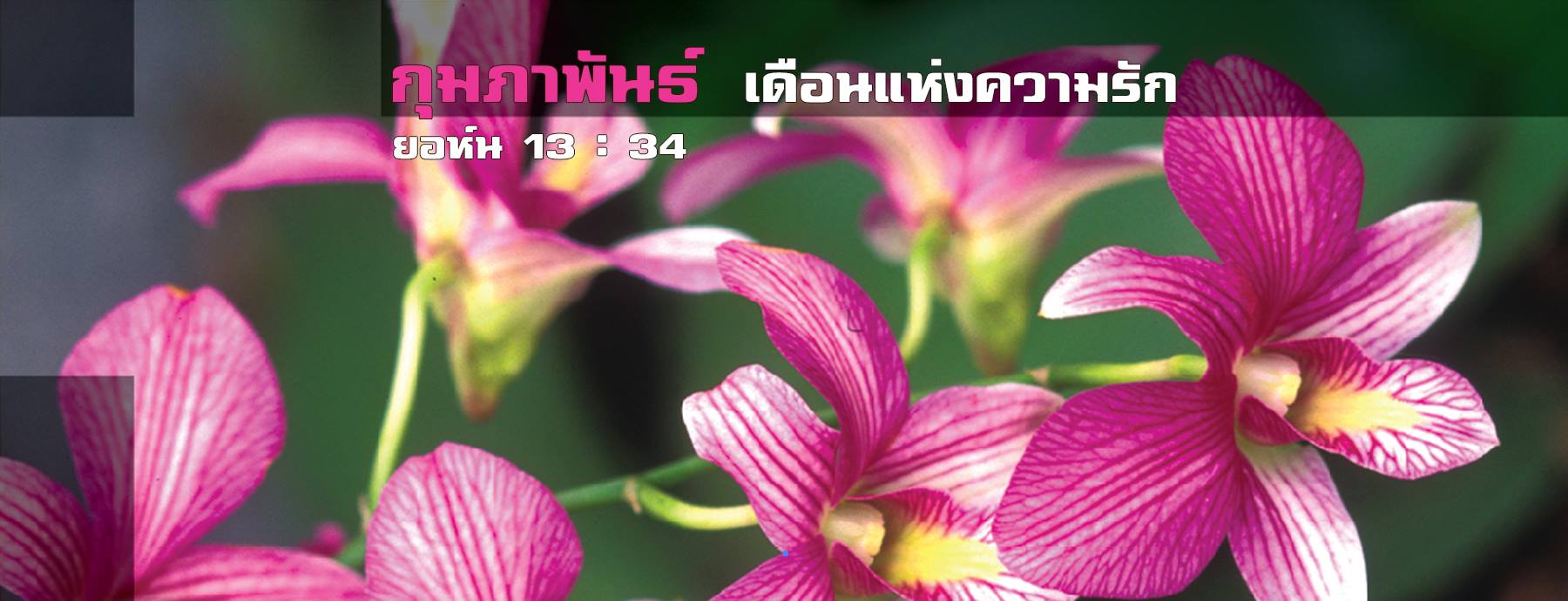 คริสตจักรสามัคคีธรรมกรุงเทพ Facebook ad: ★Youtube:@bangkokfellowship