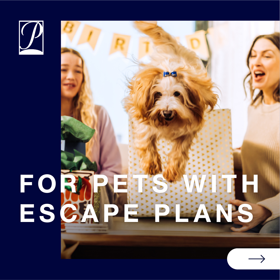 Phantom Screens Facebook ad