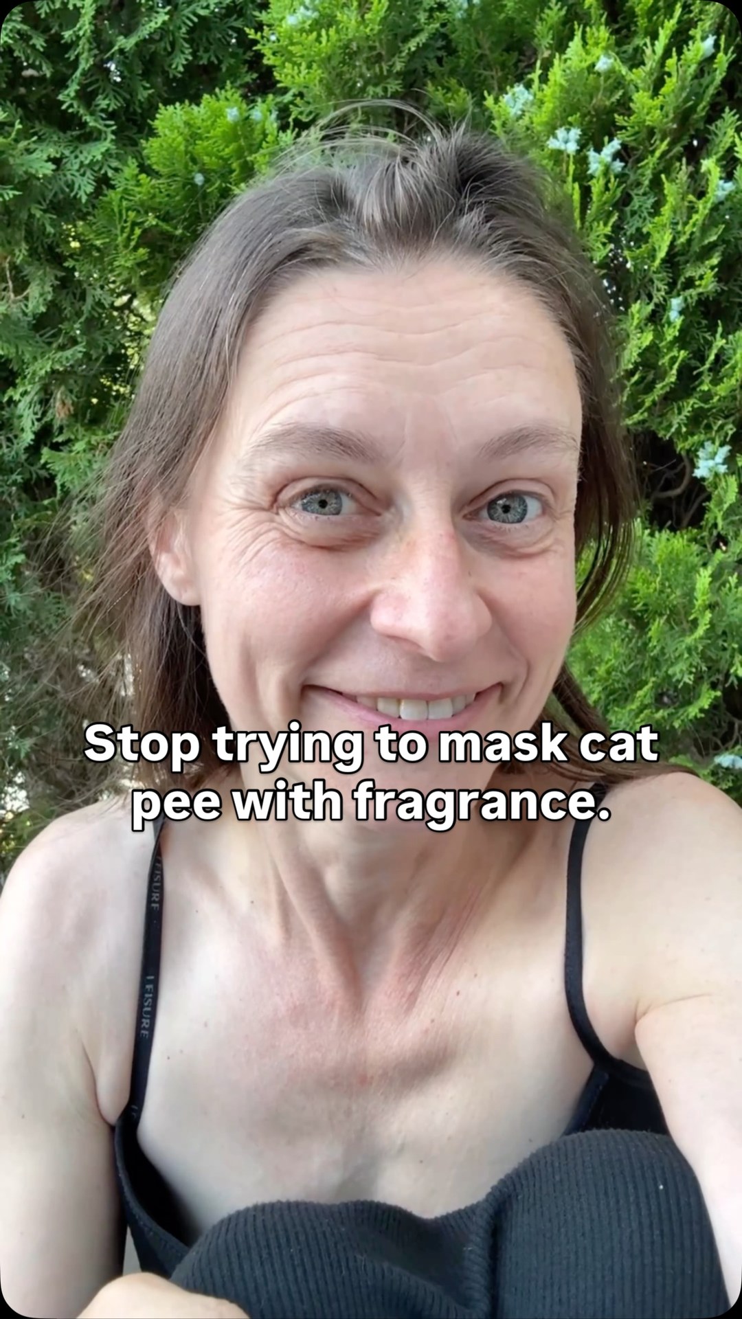 Misti A Facebook ad: Cat pee vs.