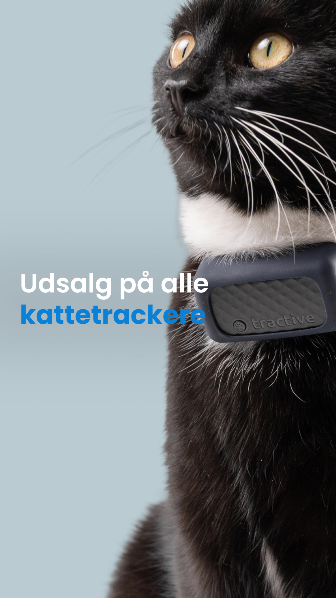 Tractive Facebook ad