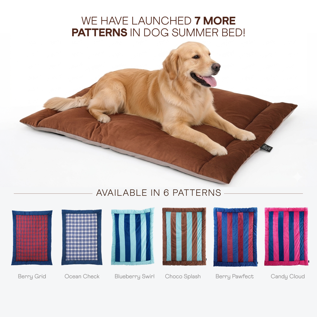 Barks & Wags Facebook ad