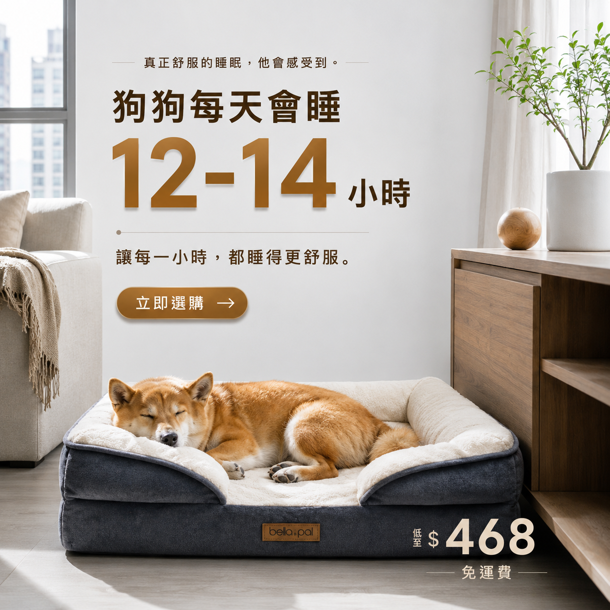 PatPat Pets Facebook ad